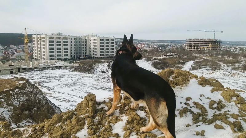 Эверест для Кейси