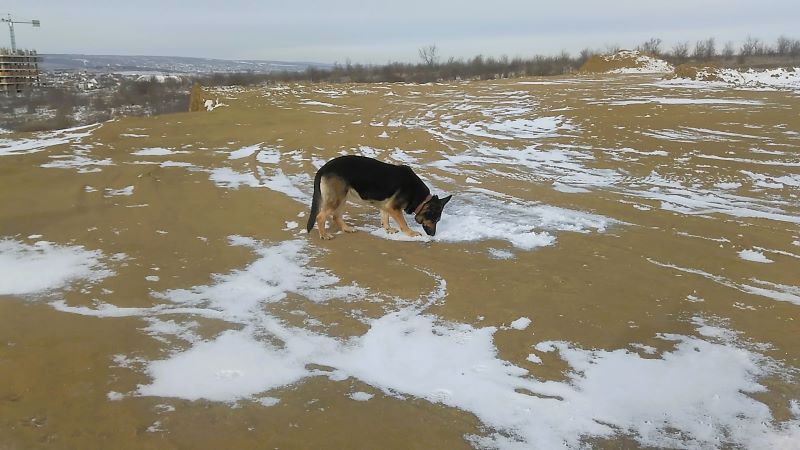 Эверест для Кейси