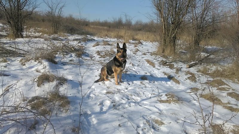 Эверест для Кейси