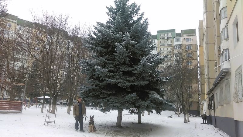 Эверест для Кейси