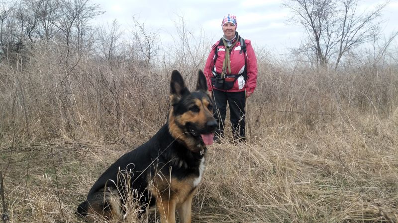 Где живут лисы