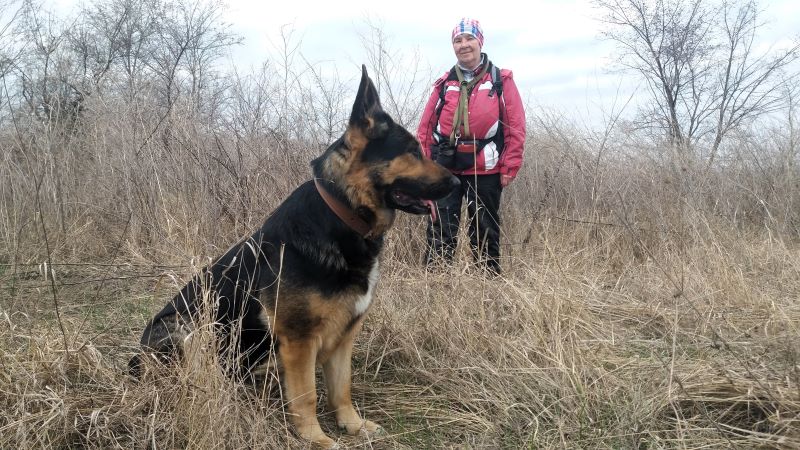 Где живут лисы