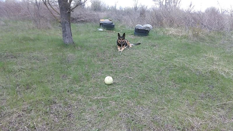 Кейси славно провела праздники