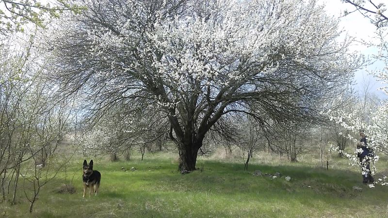 Кейси славно провела праздники