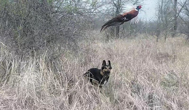 Кейси славно провела праздники