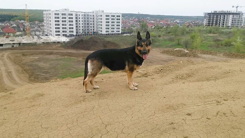 Праздник для Кейси