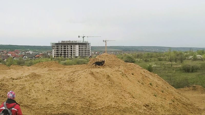 Праздник для Кейси