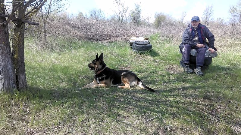 Праздник для Кейси