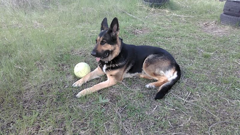 Праздник для Кейси