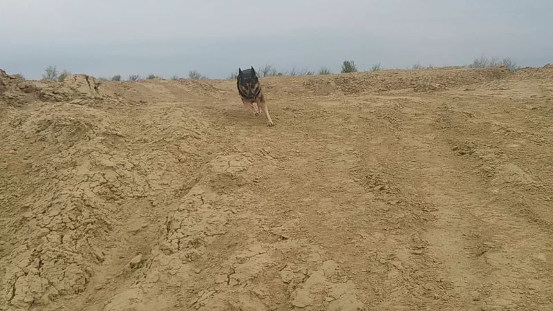 Праздник для Кейси